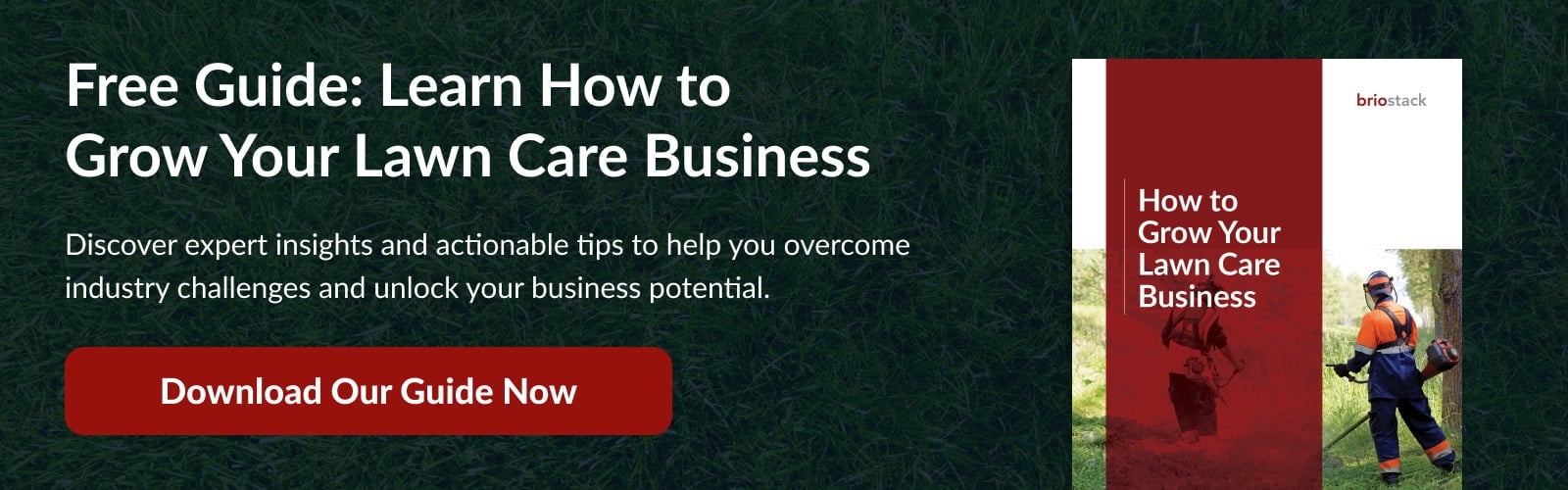 New call-to-action